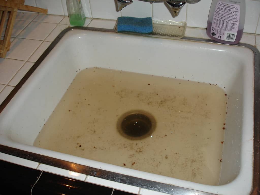 A dirty kitchen sink filled with standing water and debris at the bottom.