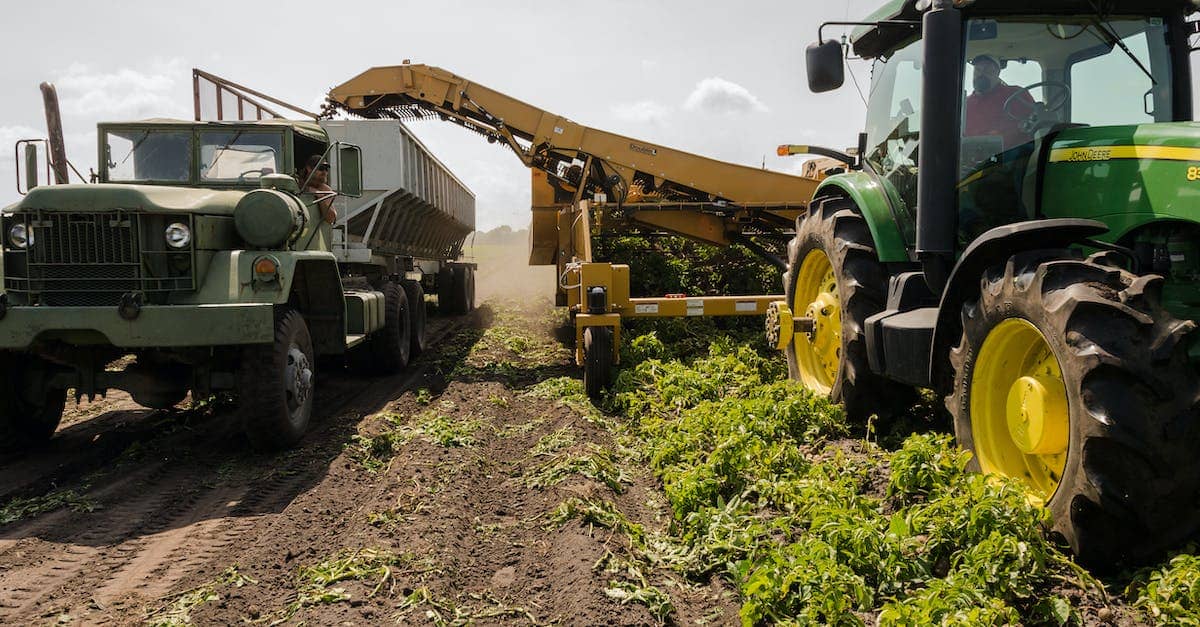 A green tractor and a military-style truck working in a field during harvest season.
