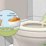 A toilet with a bowl containing a mixture of yeast, brown sugar, and warm water for septic tank maintenance.