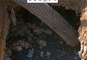 Stop Smelly Septic Tanks Stop Smelly Septic Tanks