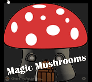 magic mushrooms