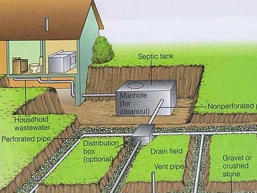 Illustration of a septic system showing components like tank, distribution box, and drain field.