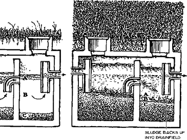 Diagram illustrating the functionality of a septic tank with labeled components and flow directions.