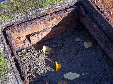 Open septic tank inspection area showing sediment and fallen leaves inside.