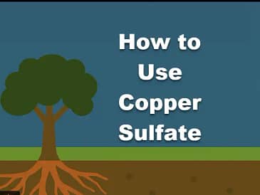Root control