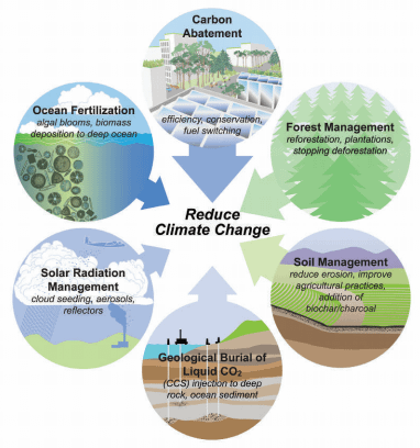 5 practical ways to combat global warming