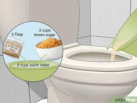 A toilet with a bowl containing a mixture of yeast, brown sugar, and warm water for septic tank maintenance.