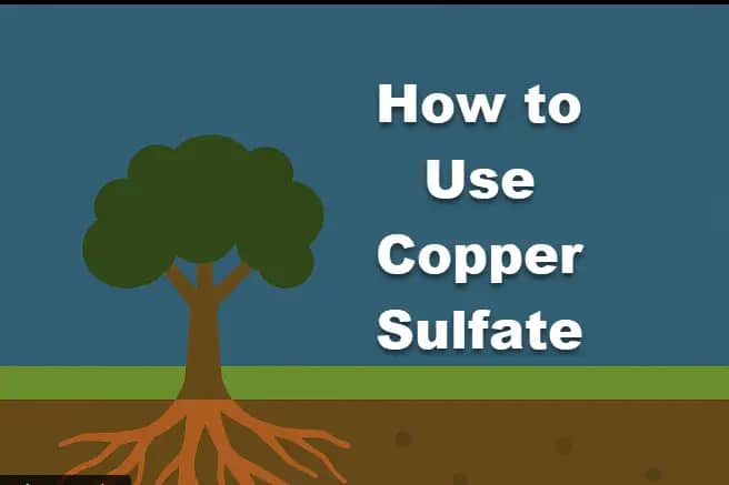 Root control